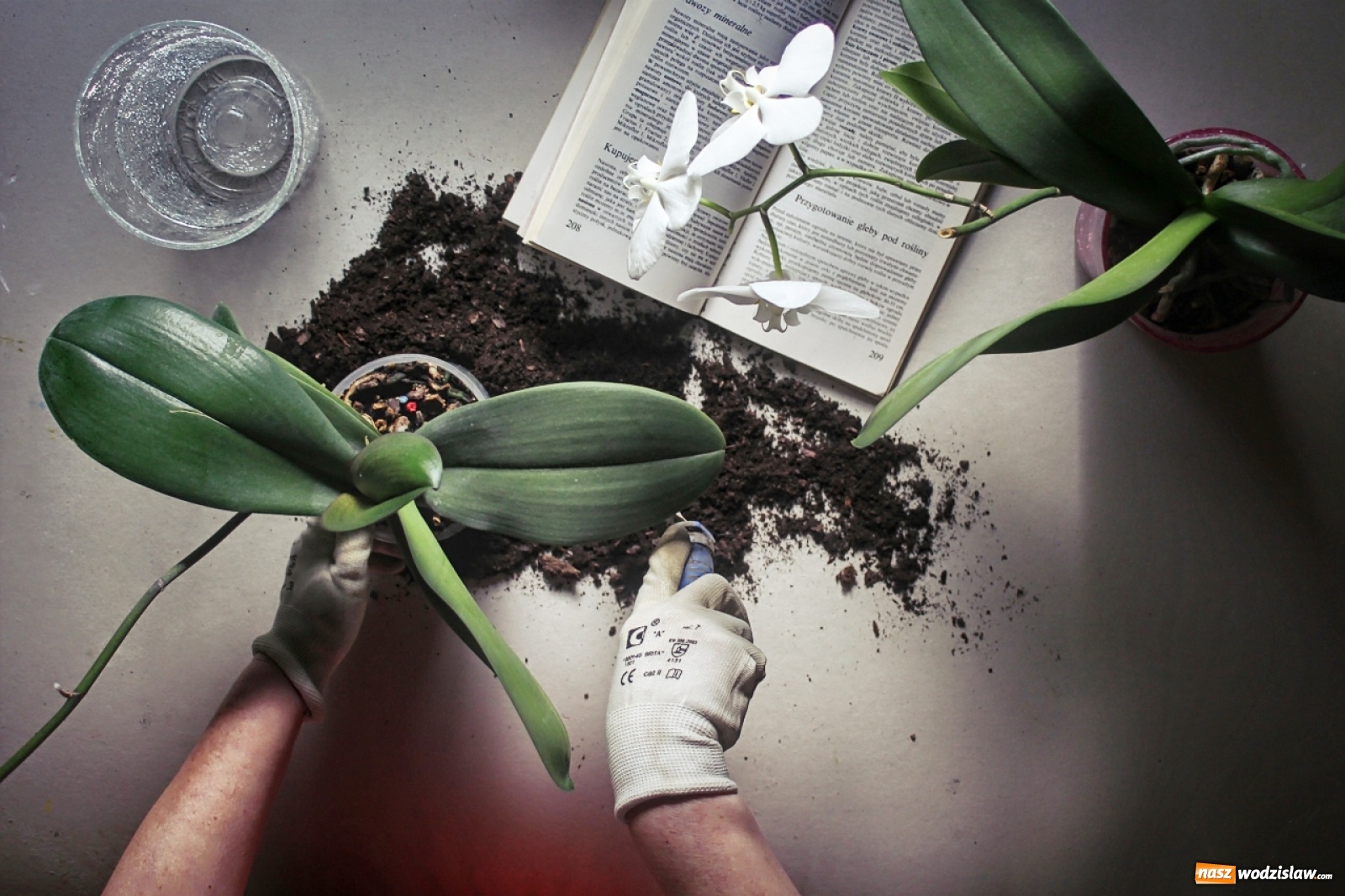 Zdjęcie w galerii na portalu naszwodzislaw.com: Foton w hołdzie Ziemi. E-wystawa studentów raciborskiej PWSZ wiadomości z regionu