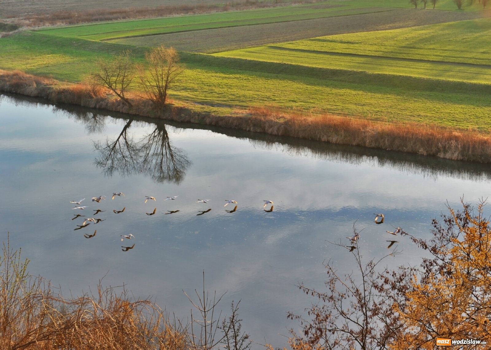Zdjęcie w galerii na portalu naszwodzislaw.com: Foton w hołdzie Ziemi. E-wystawa studentów raciborskiej PWSZ wiadomości z regionu
