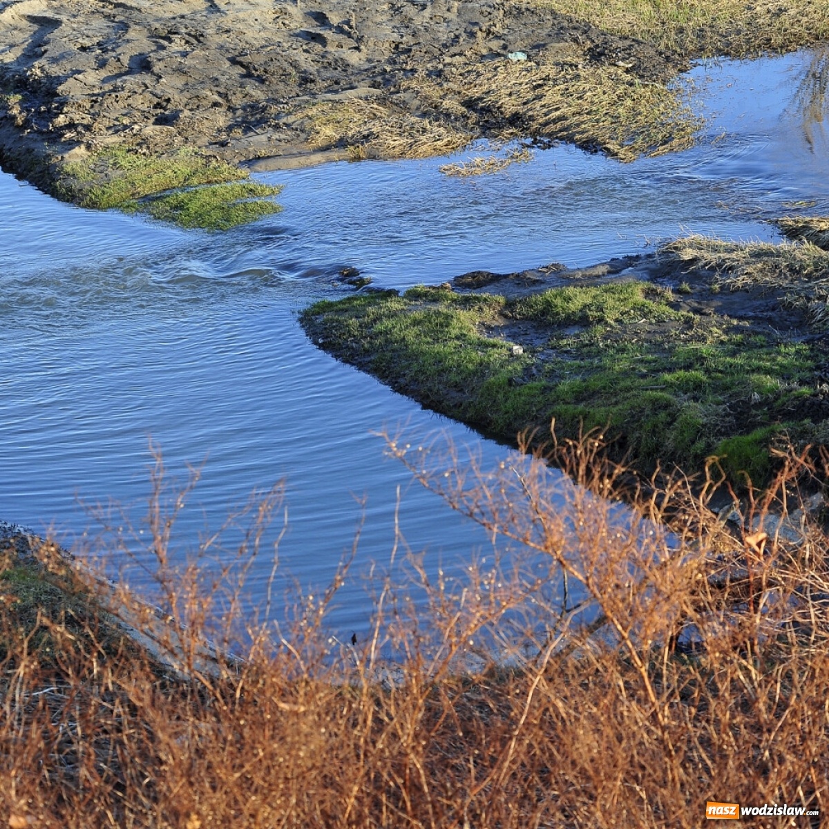 Zdjęcie w galerii na portalu naszwodzislaw.com: Foton w hołdzie Ziemi. E-wystawa studentów raciborskiej PWSZ wiadomości z regionu