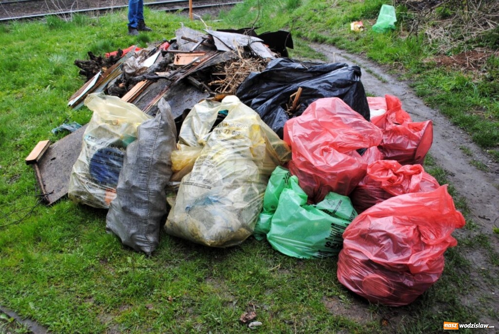 Zdjęcie w galerii na portalu naszwodzislaw.com: To nie są nasze śmieci, ale to nasze miasto! Akcja sprzątania w Radlinie wiadomości z regionu
