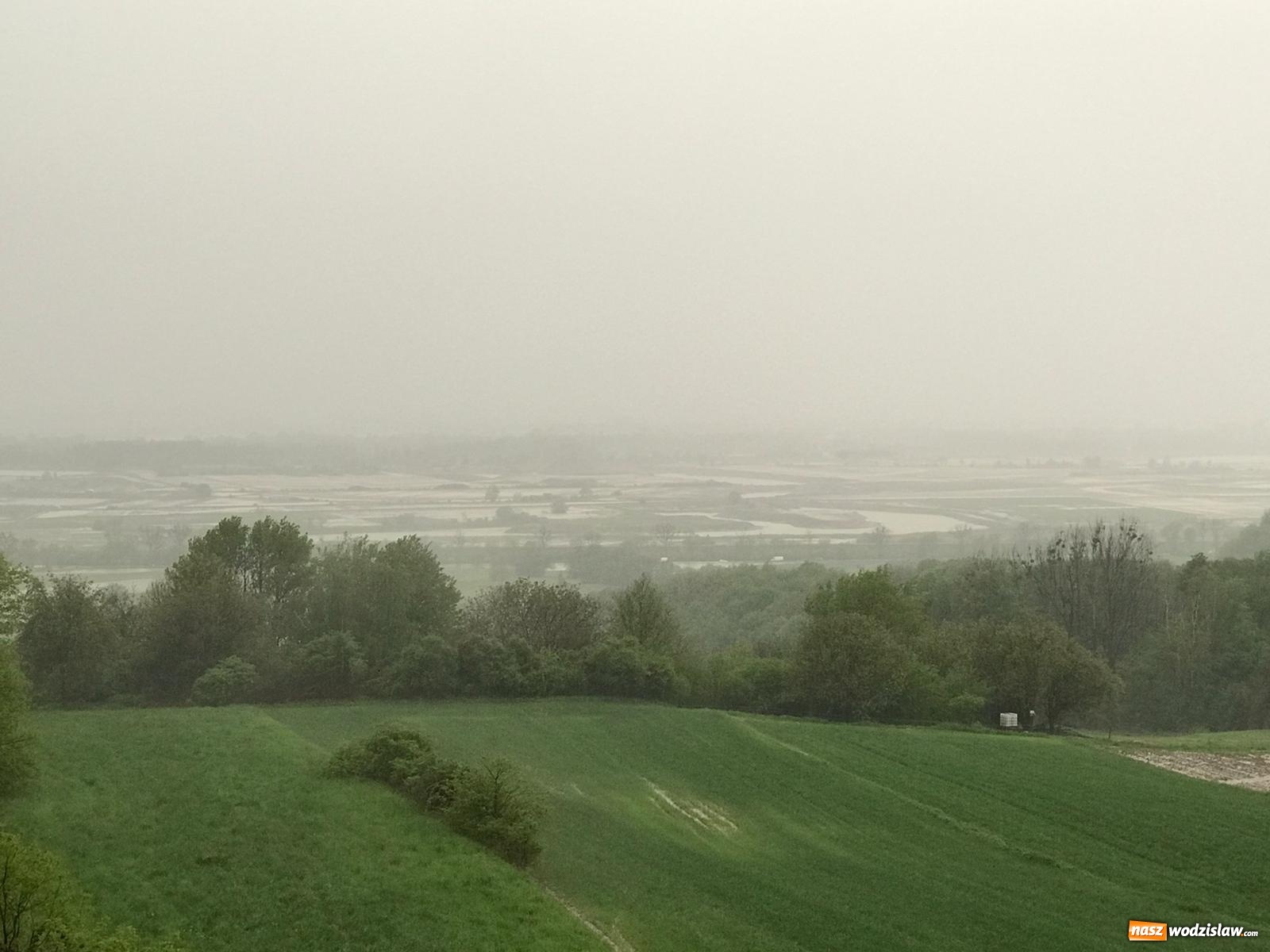 Zdjęcie w galerii na portalu naszwodzislaw.com: Ogrom zniszczeń po kolejnej nawałnicy [FOTO i WIDEO] wiadomości z regionu