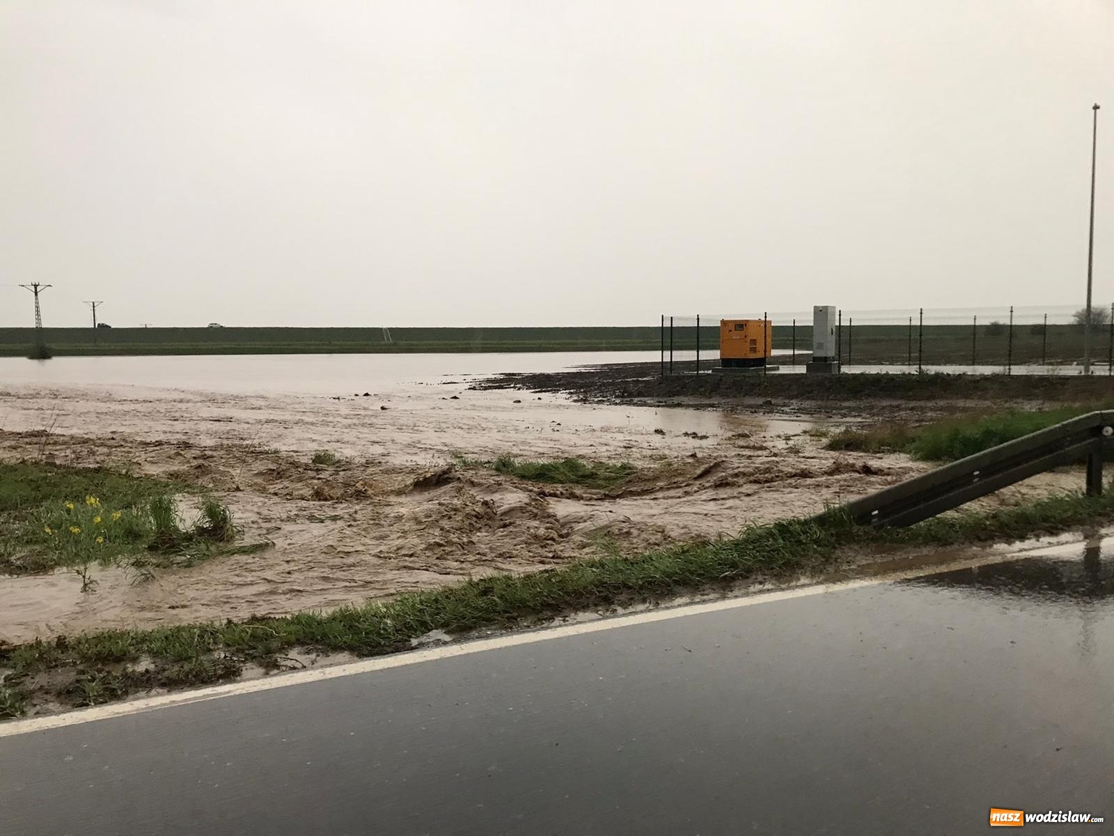 Zdjęcie w galerii na portalu naszwodzislaw.com: Ogrom zniszczeń po kolejnej nawałnicy [FOTO i WIDEO] wiadomości z regionu