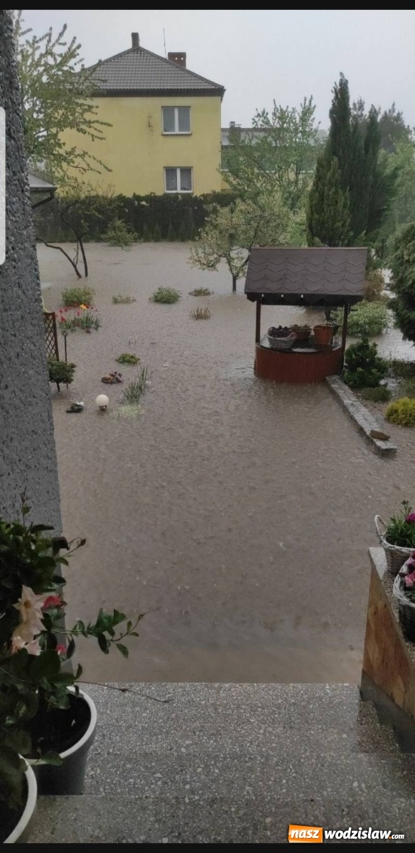 Zdjęcie w galerii na portalu naszwodzislaw.com: Ogrom zniszczeń po kolejnej nawałnicy [FOTO i WIDEO] wiadomości z regionu