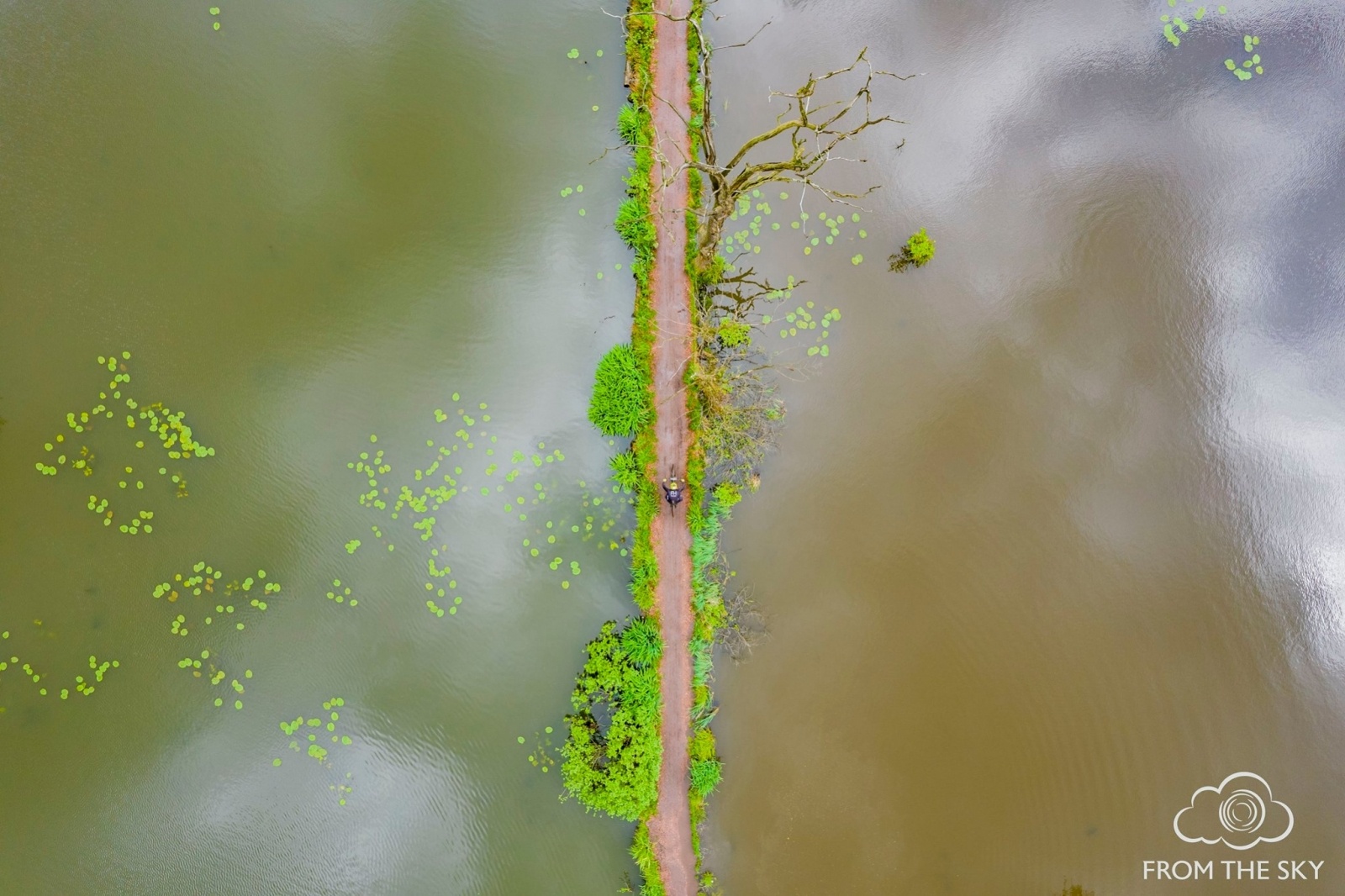 Zdjęcie w galerii na portalu naszwodzislaw.com: Zawody MTB XC na Balatonie za nami [FOTO] wiadomości z regionu