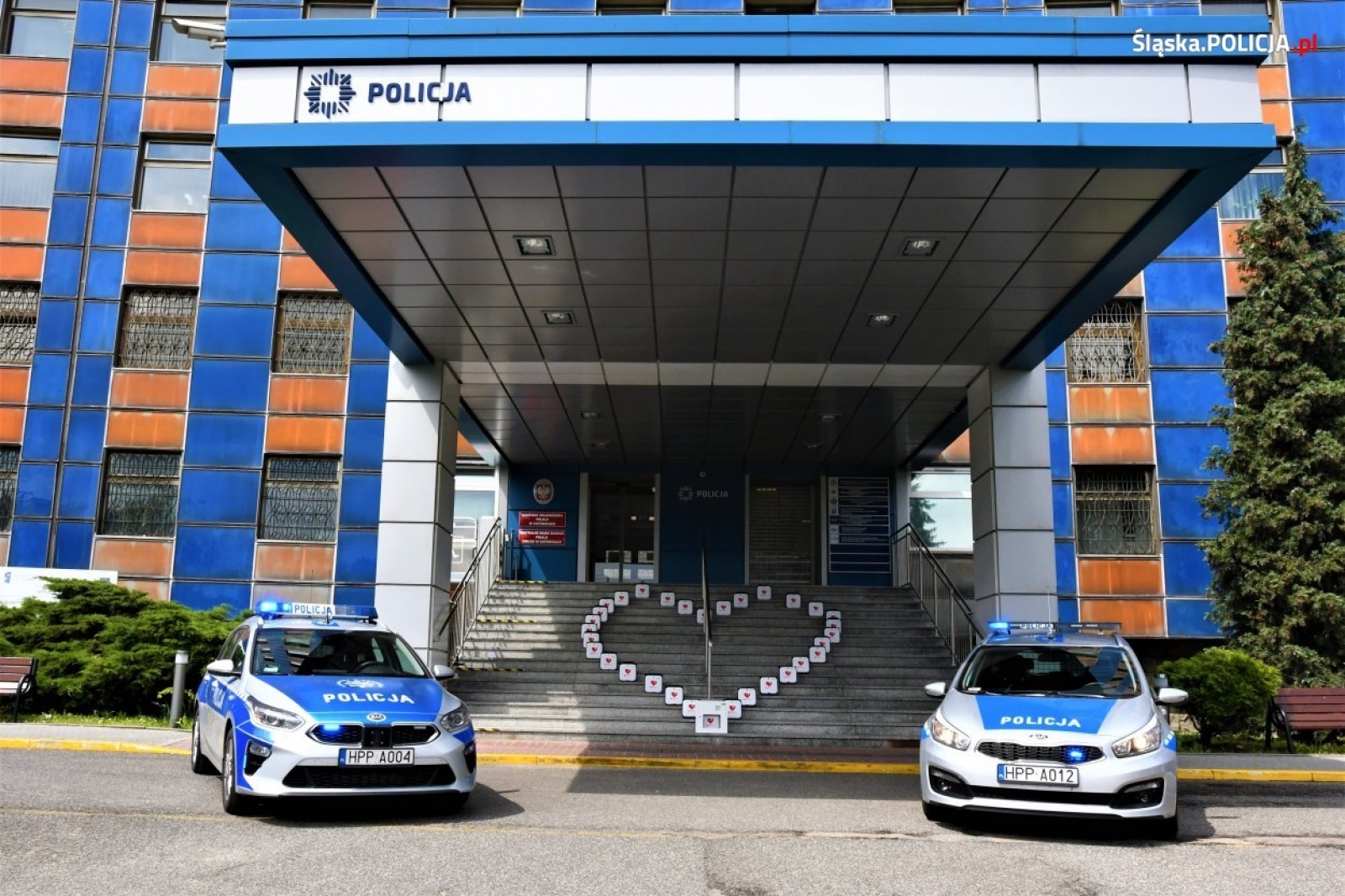 Zdjęcie w galerii na portalu naszwodzislaw.com: Ratunek dla życia w zasięgu ręki wiadomości z regionu