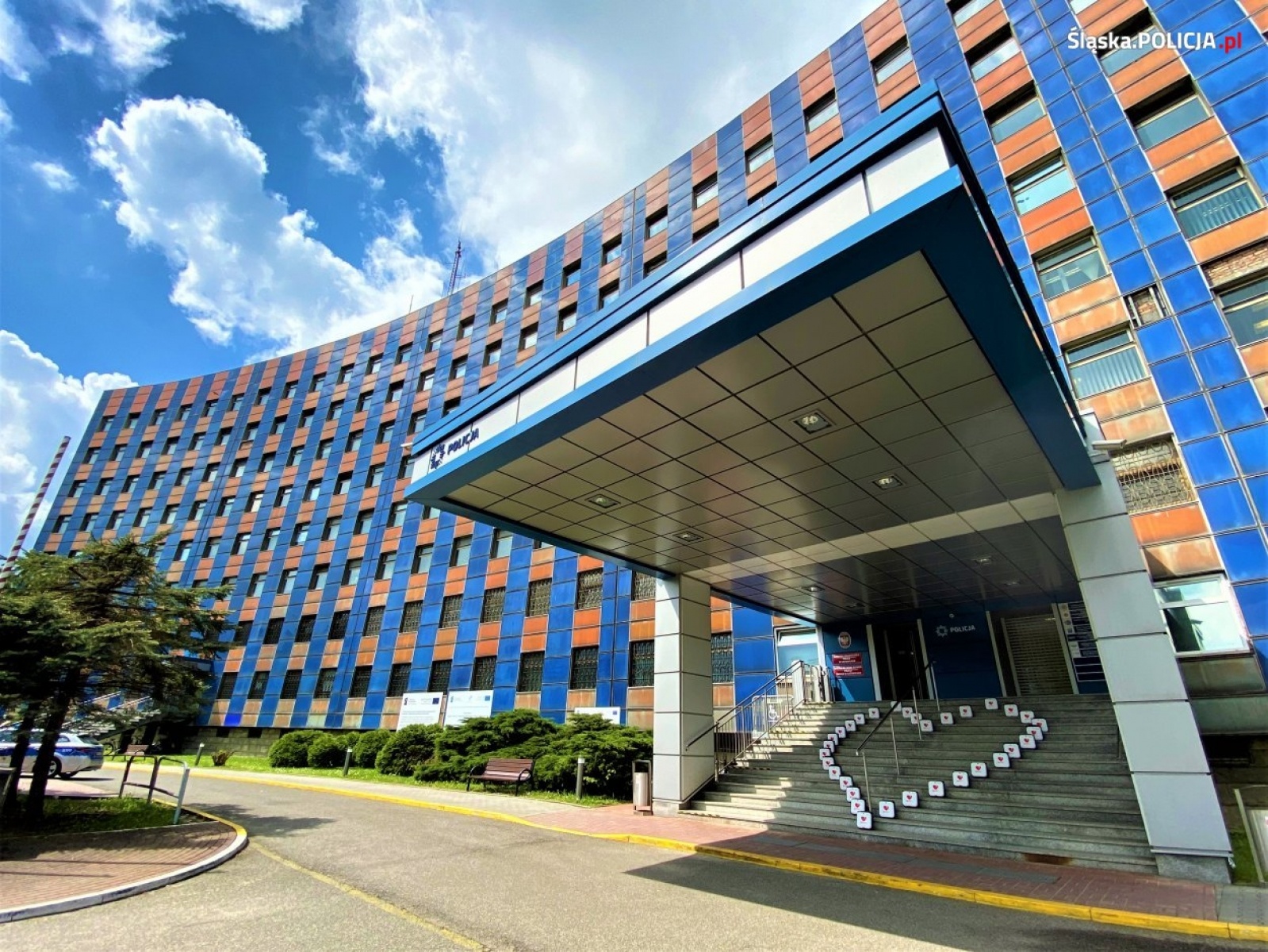 Zdjęcie w galerii na portalu naszwodzislaw.com: Ratunek dla życia w zasięgu ręki wiadomości z regionu