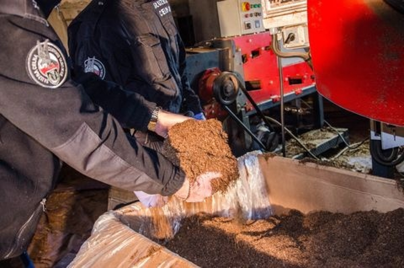 Zdjęcie w galerii na portalu naszwodzislaw.com: Śląska KAS chce przyjąć 50 funkcjonariuszy. Sprawdź, ile płaci na start wiadomości z regionu