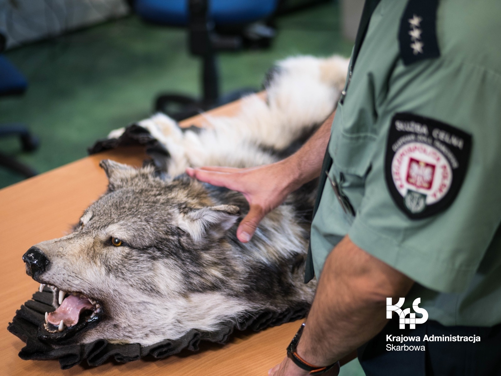 Zdjęcie w galerii na portalu naszwodzislaw.com: Śląska KAS chce przyjąć 50 funkcjonariuszy. Sprawdź, ile płaci na start wiadomości z regionu