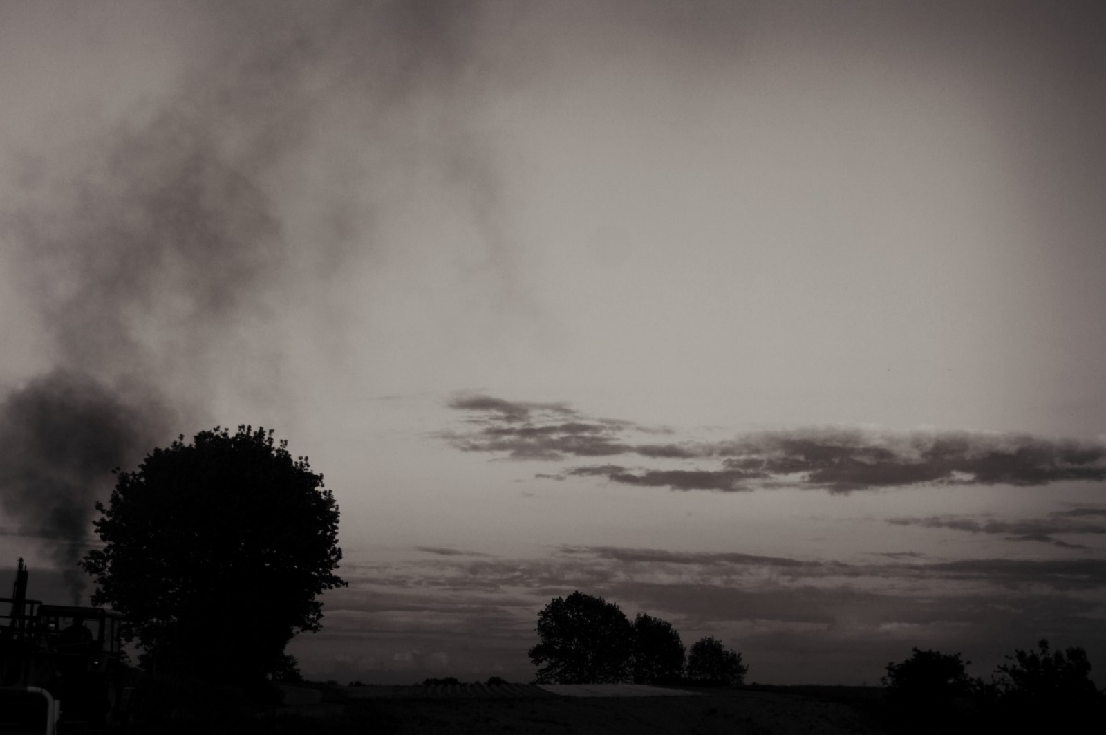 Zdjęcie w galerii na portalu naszwodzislaw.com: Konkurs fotograficzny Wiosna w Lubomi rozstrzygnięty wiadomości z regionu