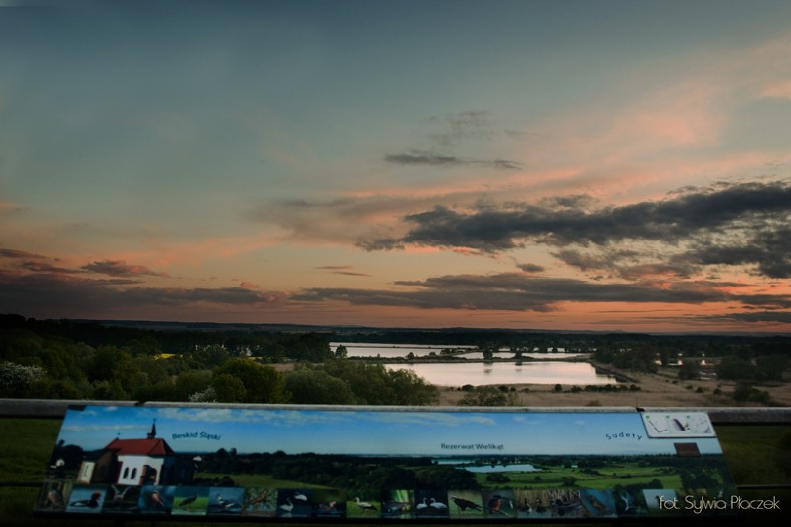 Zdjęcie w galerii na portalu naszwodzislaw.com: Konkurs fotograficzny Wiosna w Lubomi rozstrzygnięty wiadomości z regionu