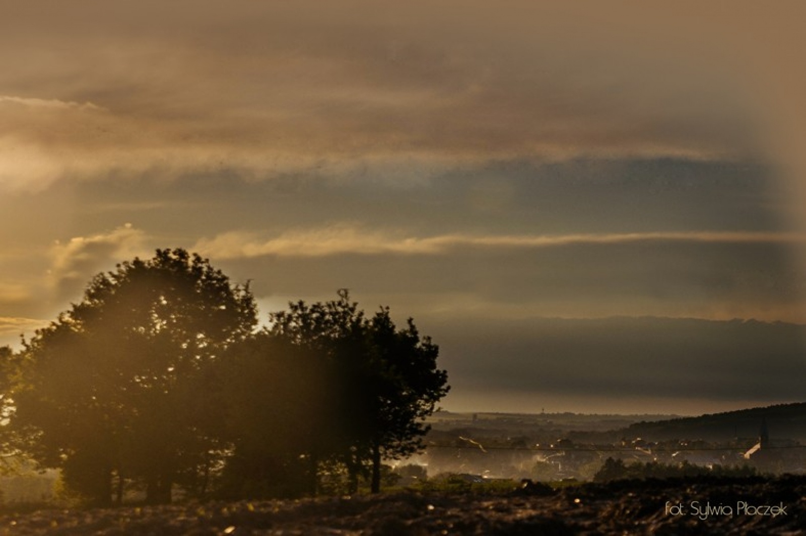 Zdjęcie w galerii na portalu naszwodzislaw.com: Konkurs fotograficzny Wiosna w Lubomi rozstrzygnięty wiadomości z regionu