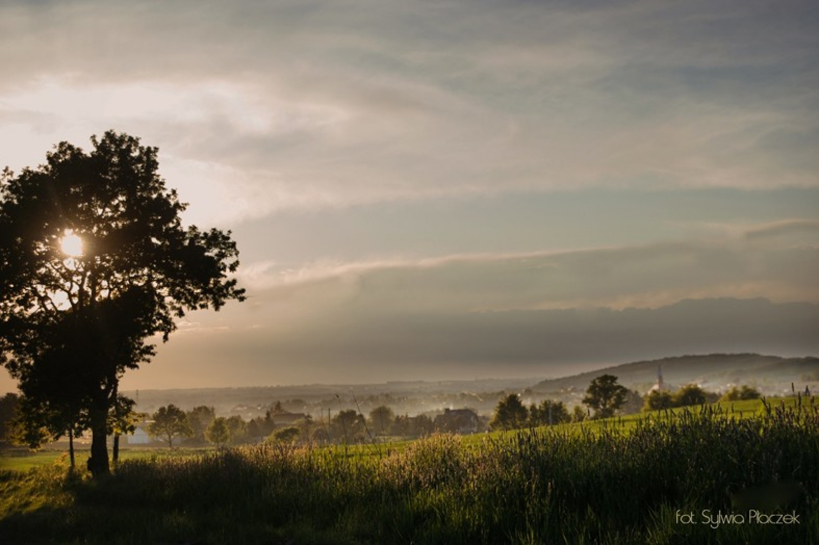 Zdjęcie w galerii na portalu naszwodzislaw.com: Konkurs fotograficzny Wiosna w Lubomi rozstrzygnięty wiadomości z regionu