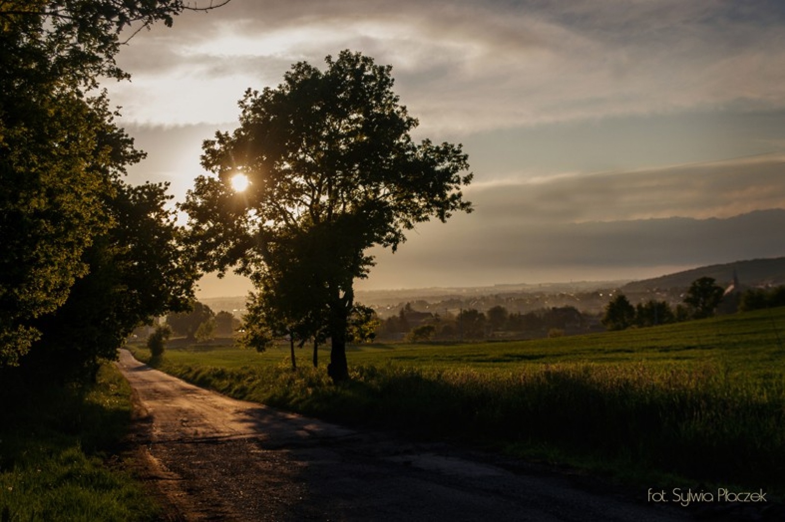 Zdjęcie w galerii na portalu naszwodzislaw.com: Konkurs fotograficzny Wiosna w Lubomi rozstrzygnięty wiadomości z regionu