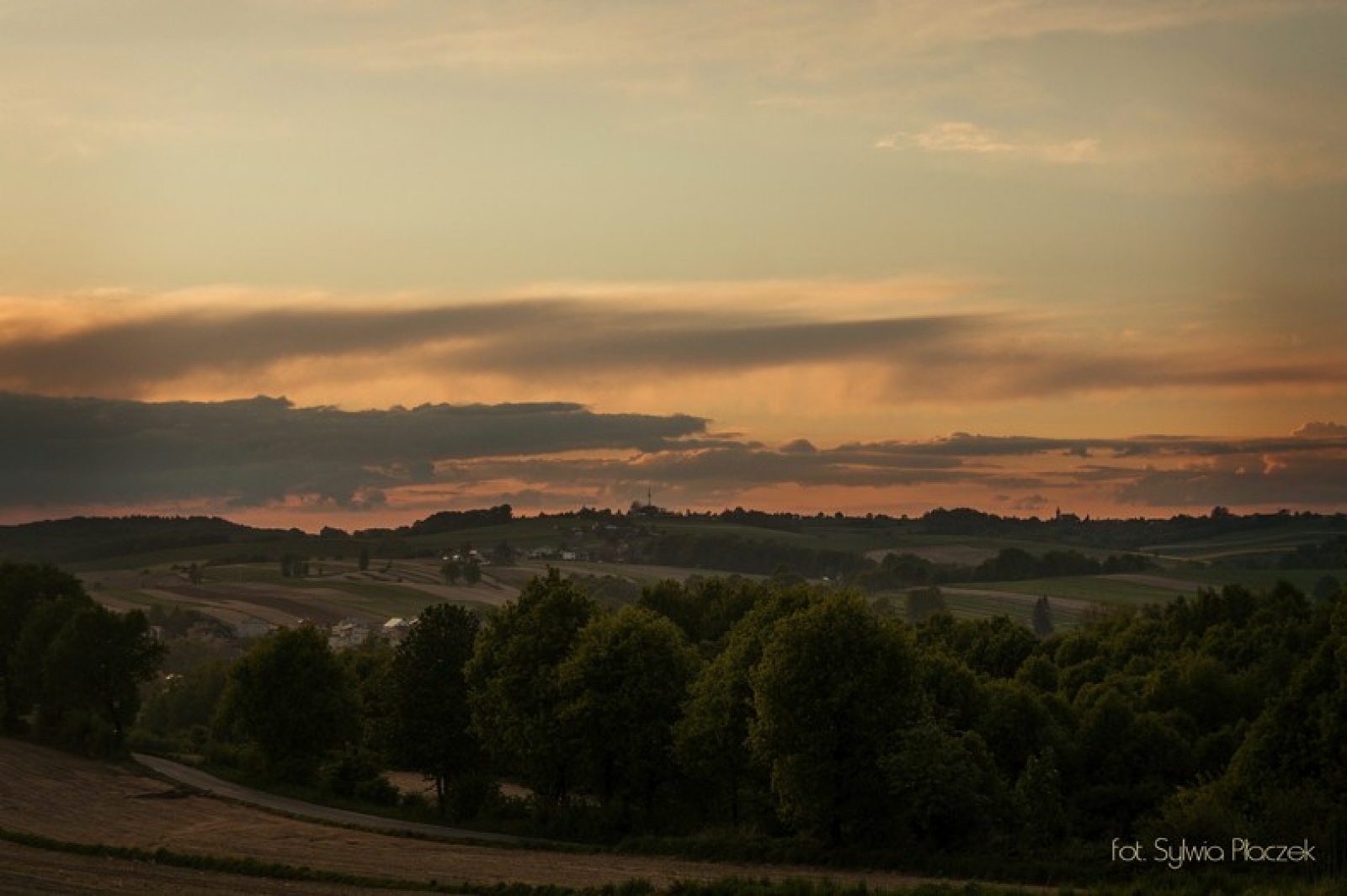Zdjęcie w galerii na portalu naszwodzislaw.com: Konkurs fotograficzny Wiosna w Lubomi rozstrzygnięty wiadomości z regionu