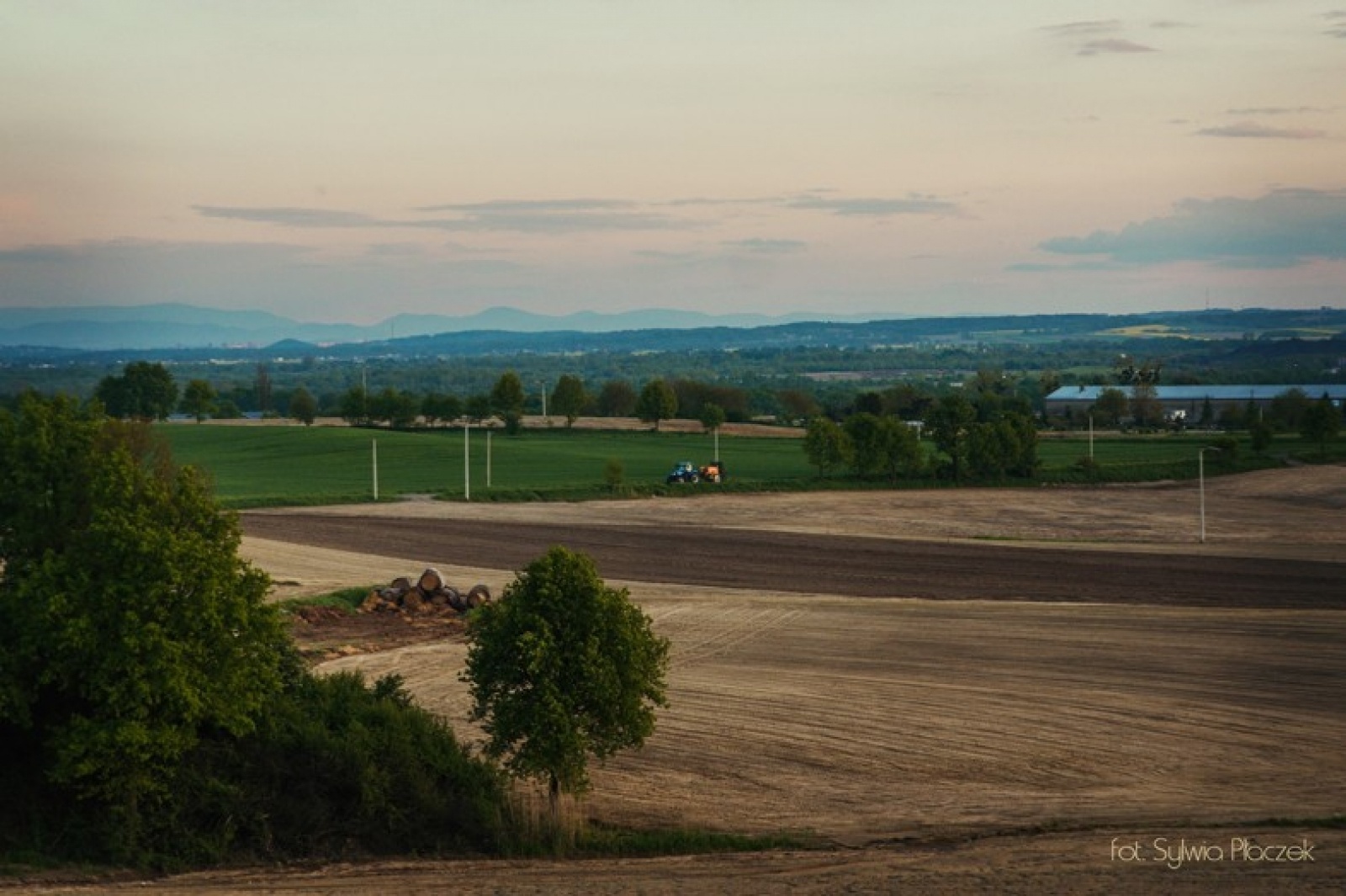Zdjęcie w galerii na portalu naszwodzislaw.com: Konkurs fotograficzny Wiosna w Lubomi rozstrzygnięty wiadomości z regionu