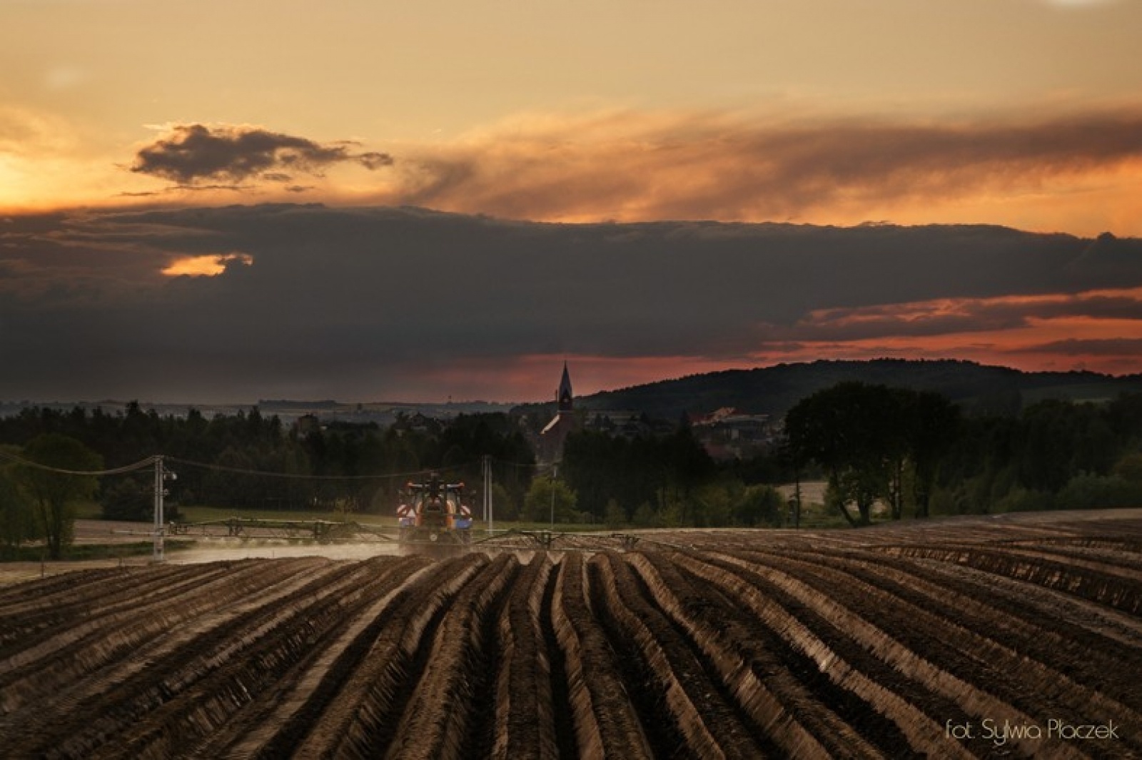 Zdjęcie w galerii na portalu naszwodzislaw.com: Konkurs fotograficzny Wiosna w Lubomi rozstrzygnięty wiadomości z regionu