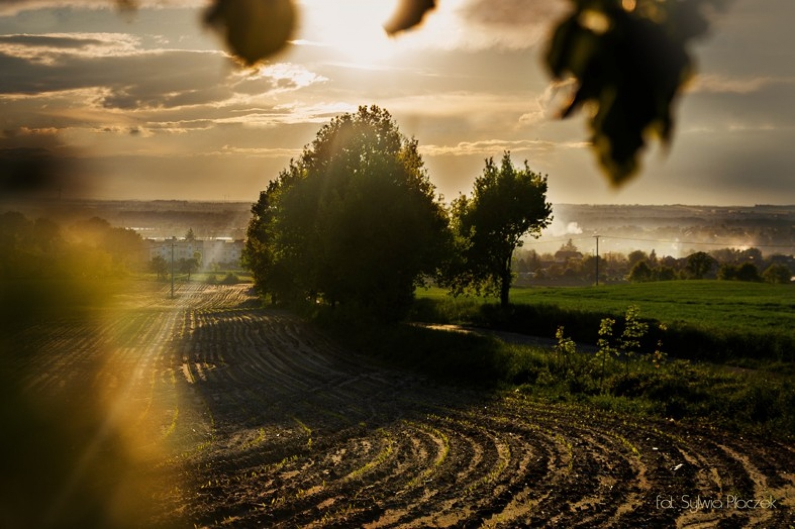 Zdjęcie w galerii na portalu naszwodzislaw.com: Konkurs fotograficzny Wiosna w Lubomi rozstrzygnięty wiadomości z regionu