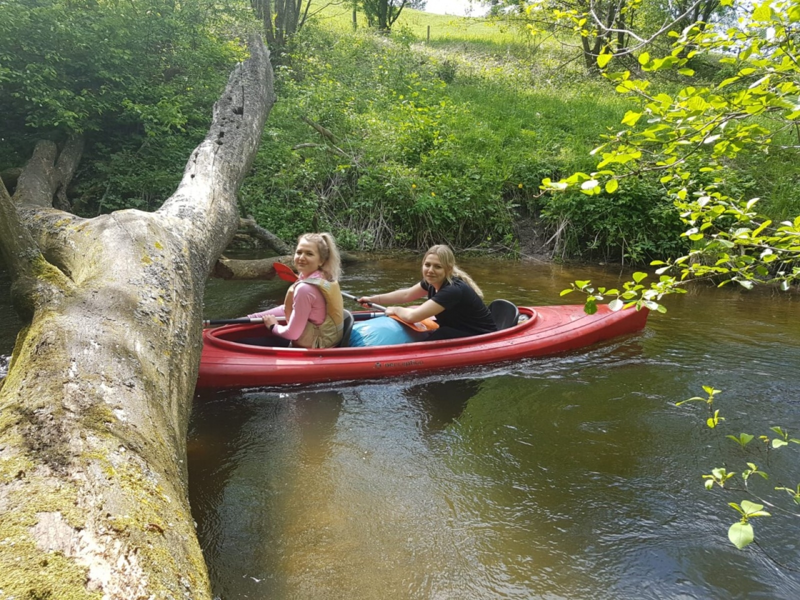 Zdjęcie w galerii na portalu naszwodzislaw.com: Turystyka i rekreacja – aktywne studia w PWSZ Racibórz wiadomości z regionu