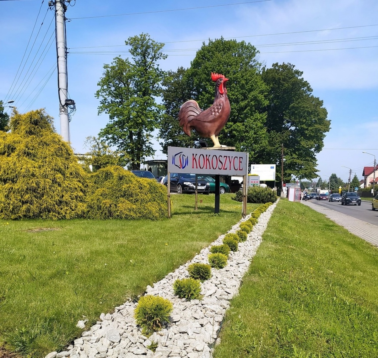 Zdjęcie w galerii na portalu naszwodzislaw.com: W Kokoszycach pojawiły się nowe nasadzenia wiadomości z regionu
