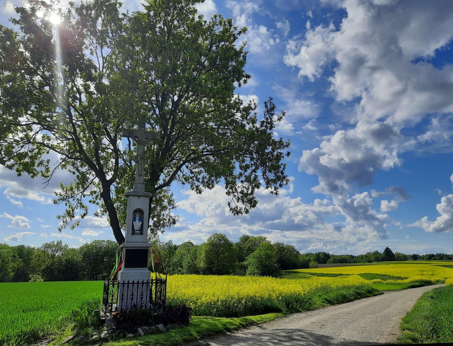 Zdjęcie w galerii na portalu naszwodzislaw.com: Nie mam doła, pomagała mi szkoła [FOTO] wiadomości z regionu