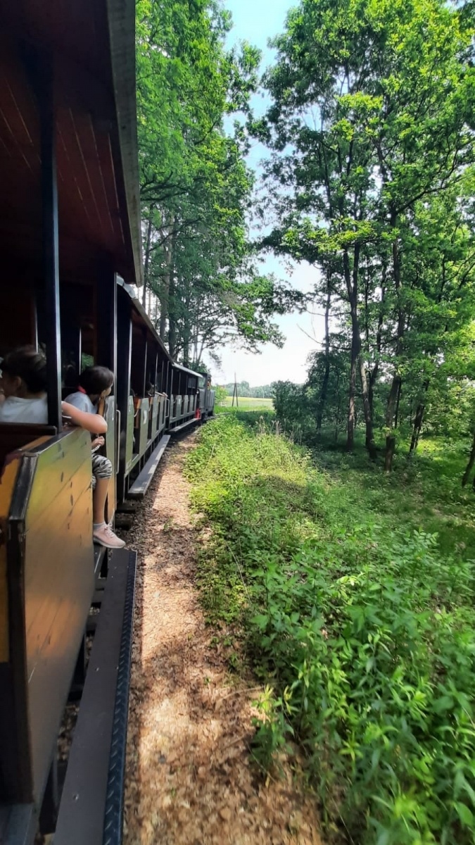 Zdjęcie w galerii na portalu naszwodzislaw.com: Nie mam doła, pomagała mi szkoła [FOTO] wiadomości z regionu