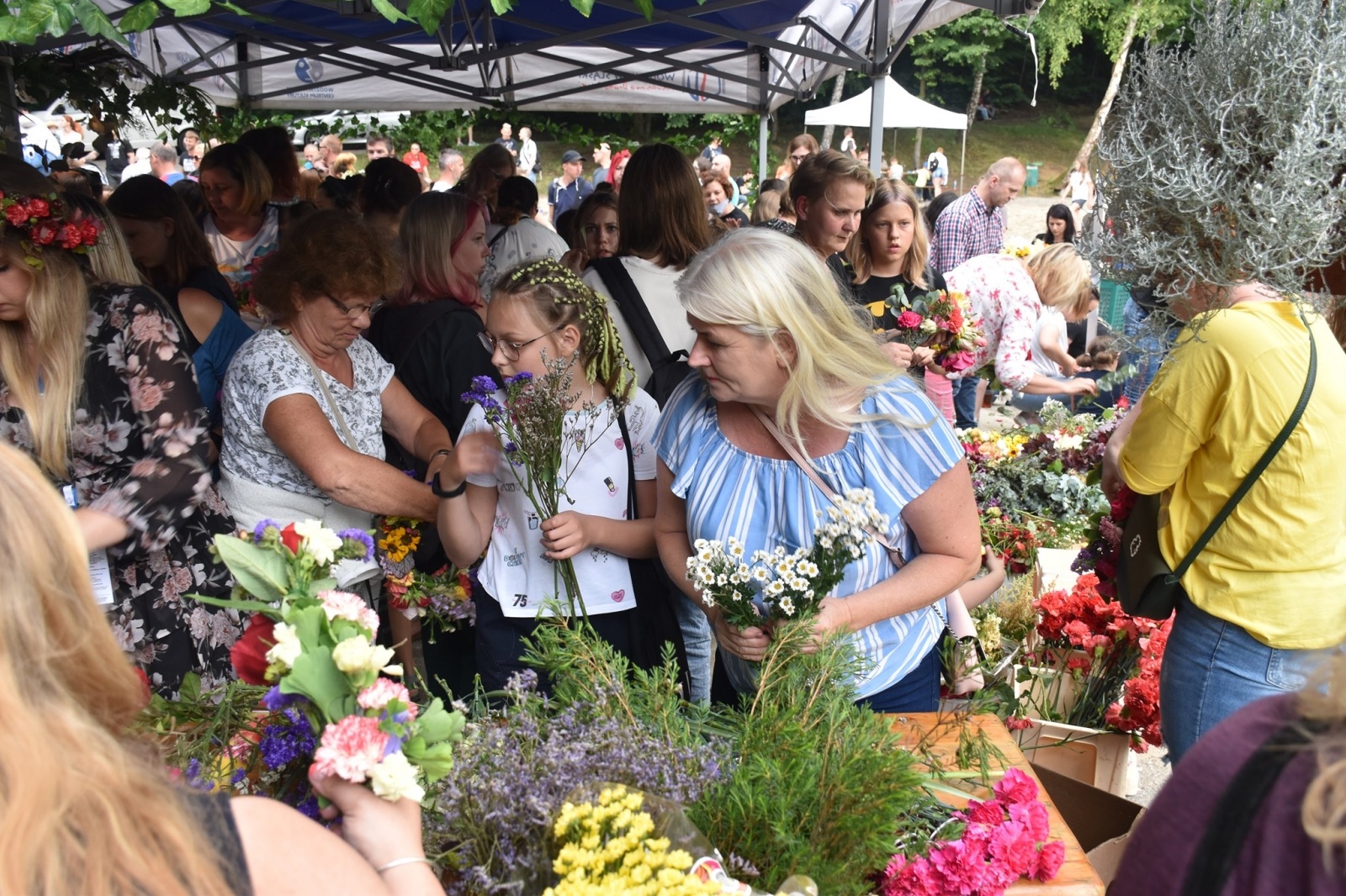 Zdjęcie w galerii na portalu naszwodzislaw.com: IV Wodzisławska Noc Świętojańska za nami [FOTO] wiadomości z regionu