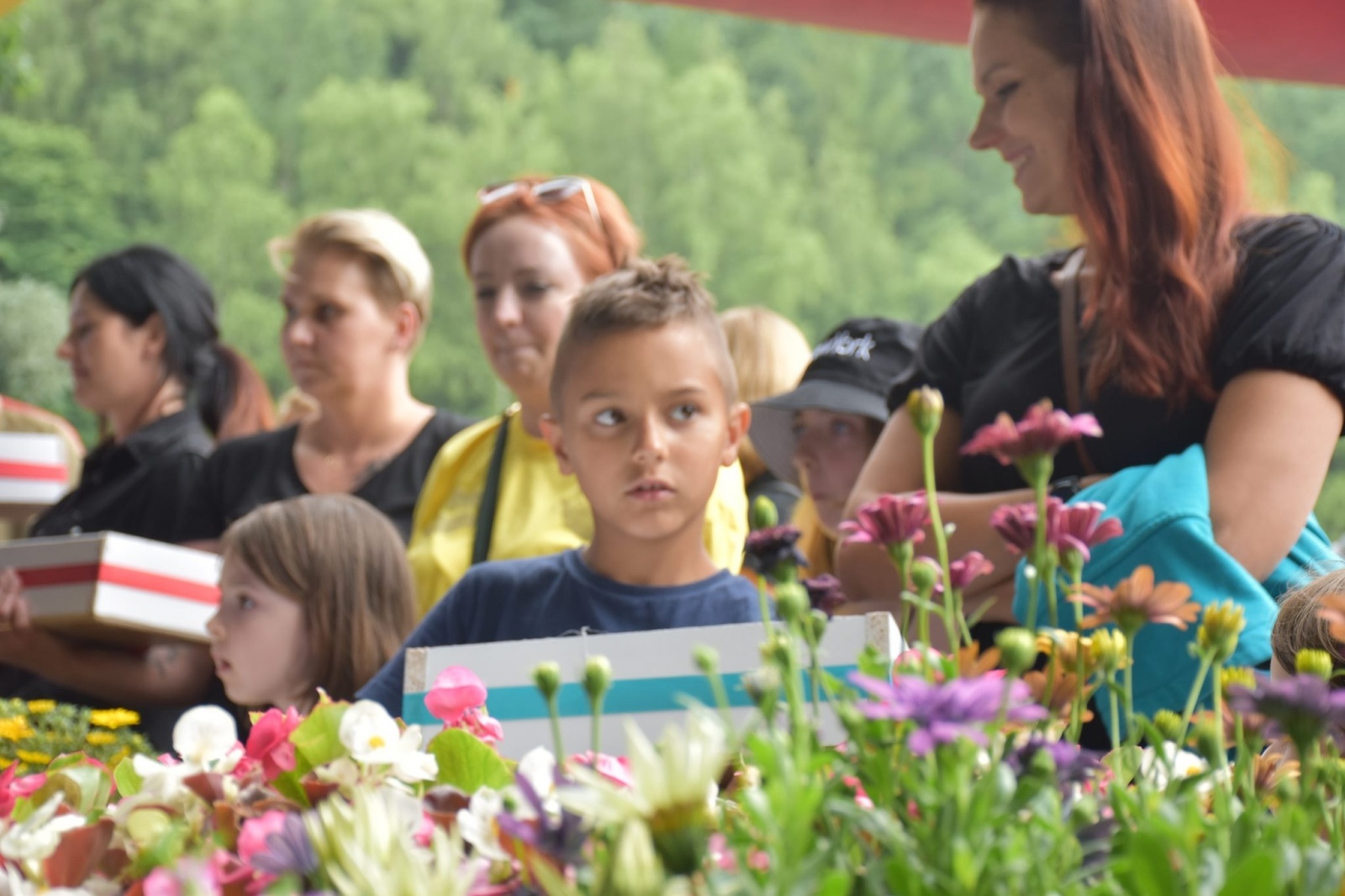 Zdjęcie w galerii na portalu naszwodzislaw.com: IV Wodzisławska Noc Świętojańska za nami [FOTO] wiadomości z regionu
