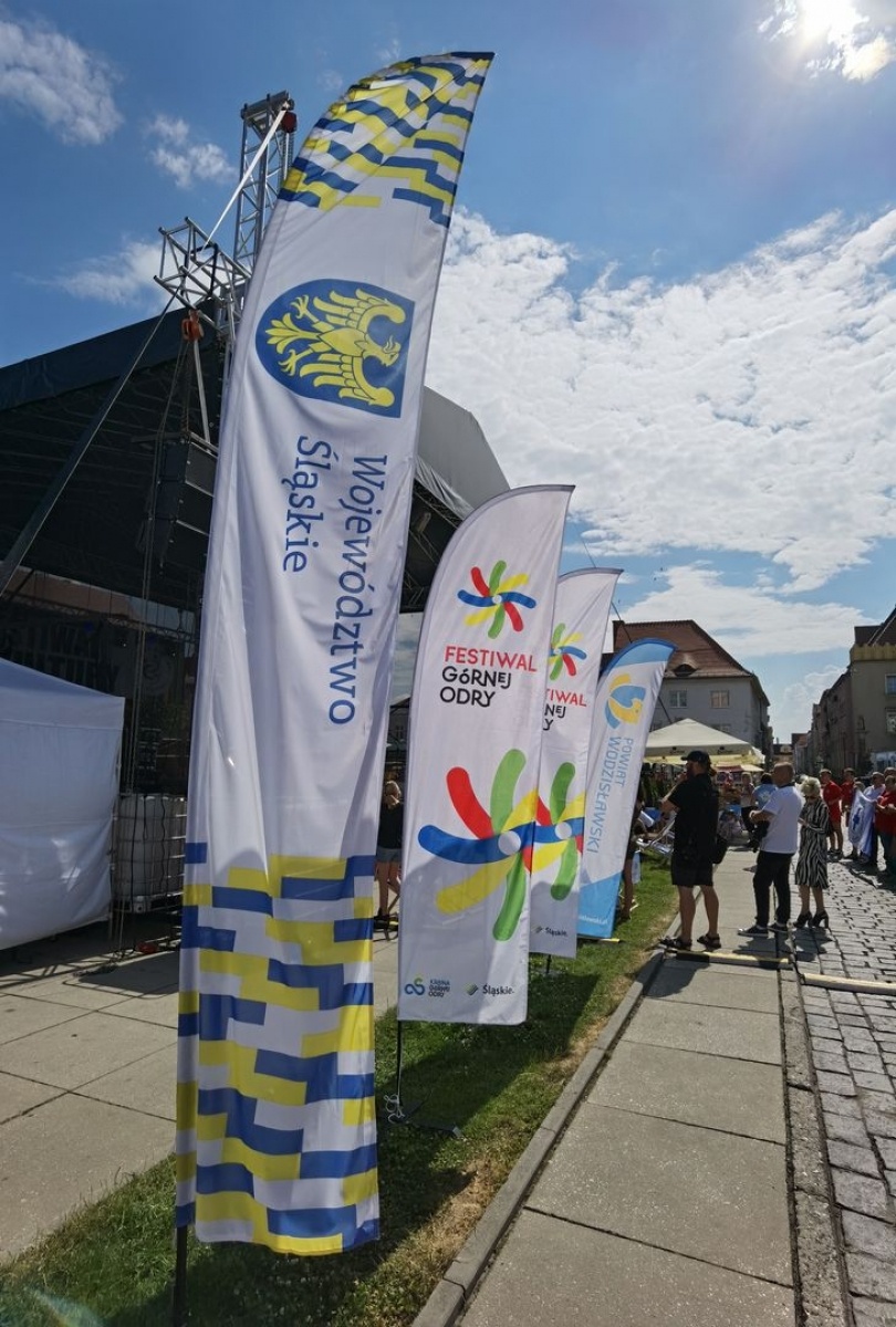 Zdjęcie w galerii na portalu naszwodzislaw.com: Za nami dwa dni festiwalowej zabawy! [FOTO] wiadomości z regionu