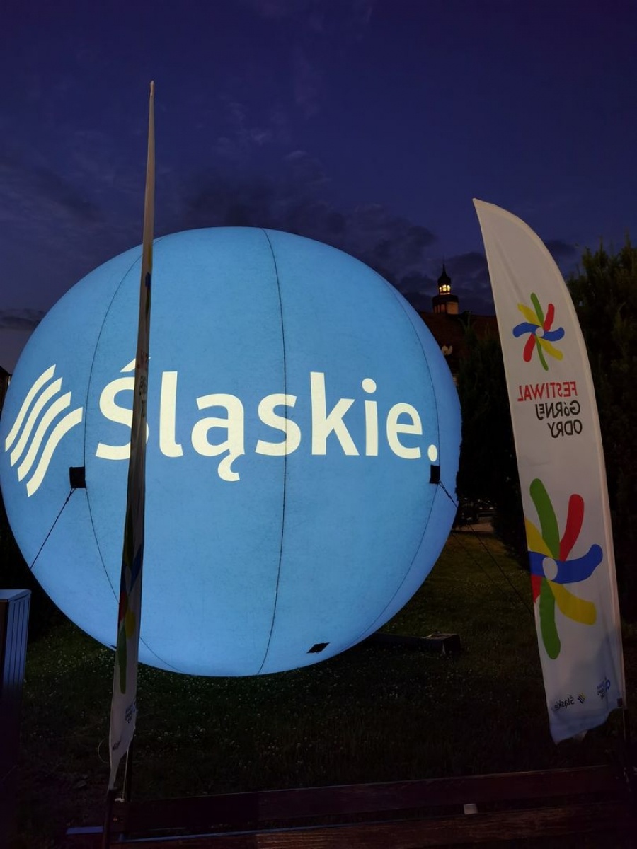 Zdjęcie w galerii na portalu naszwodzislaw.com: Za nami dwa dni festiwalowej zabawy! [FOTO] wiadomości z regionu