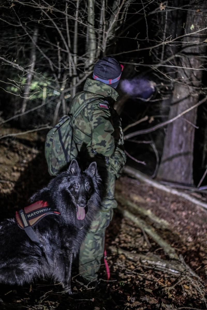 Zdjęcie w galerii na portalu naszwodzislaw.com: Dzień Psa u śląskich terytorialsów wiadomości z regionu