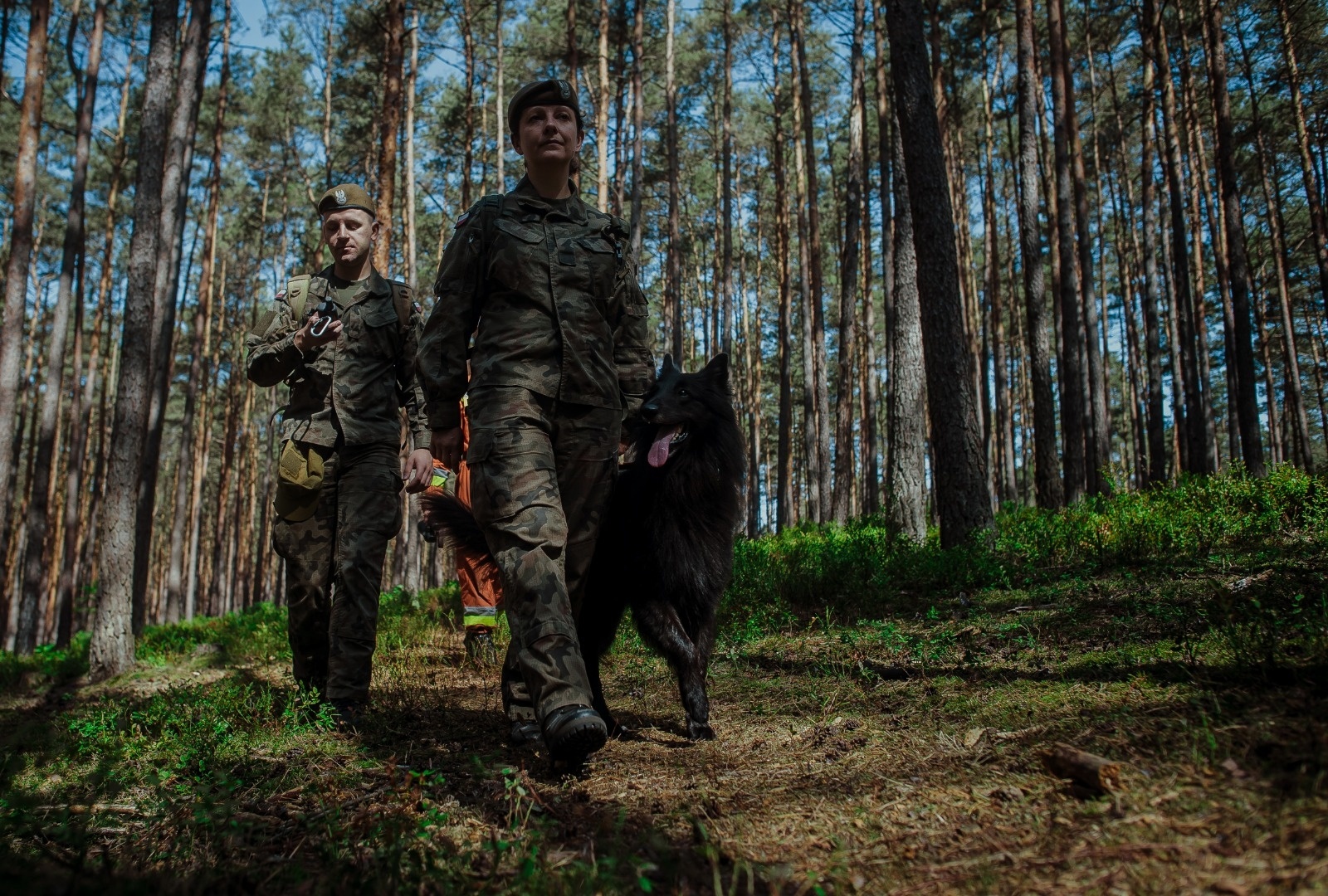 Zdjęcie w galerii na portalu naszwodzislaw.com: Dzień Psa u śląskich terytorialsów wiadomości z regionu