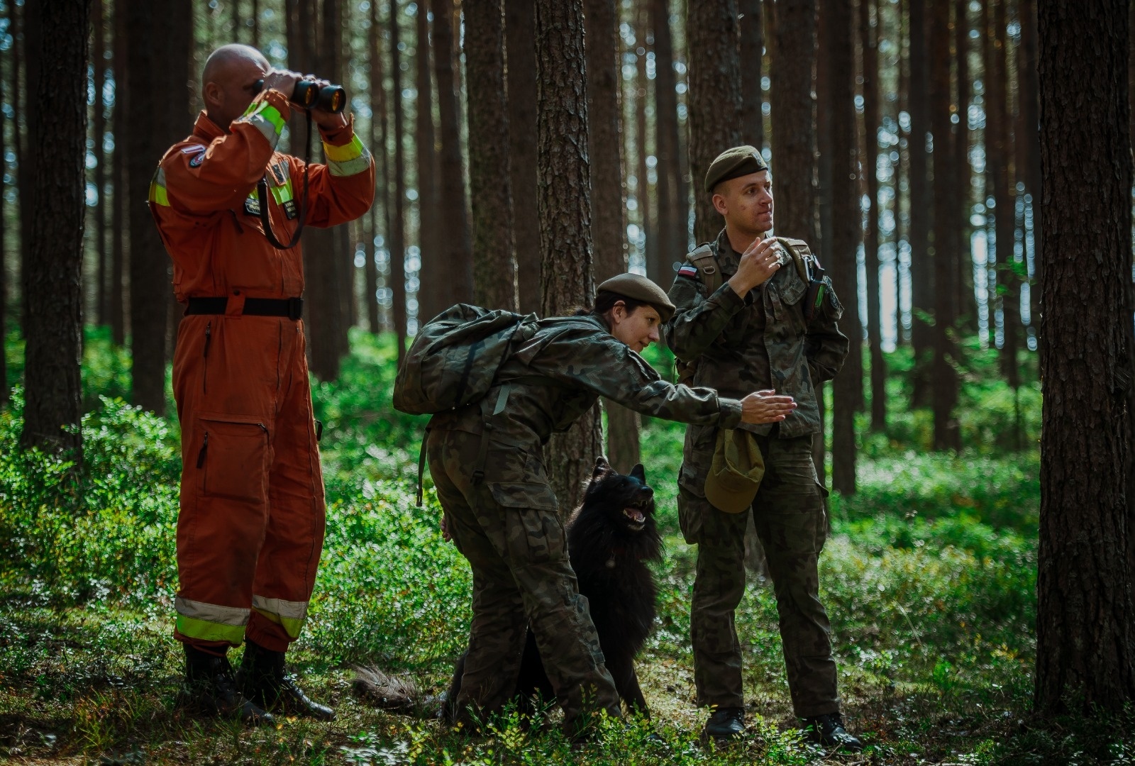 Zdjęcie w galerii na portalu naszwodzislaw.com: Dzień Psa u śląskich terytorialsów wiadomości z regionu