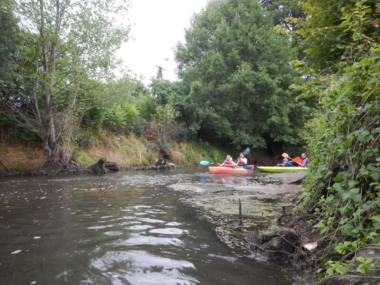 Zdjęcie w galerii na portalu naszwodzislaw.com: Zarażamy radością. Spływy kajakowe z Gminnym Ośrodkiem Sportu w Mszanie wiadomości z regionu