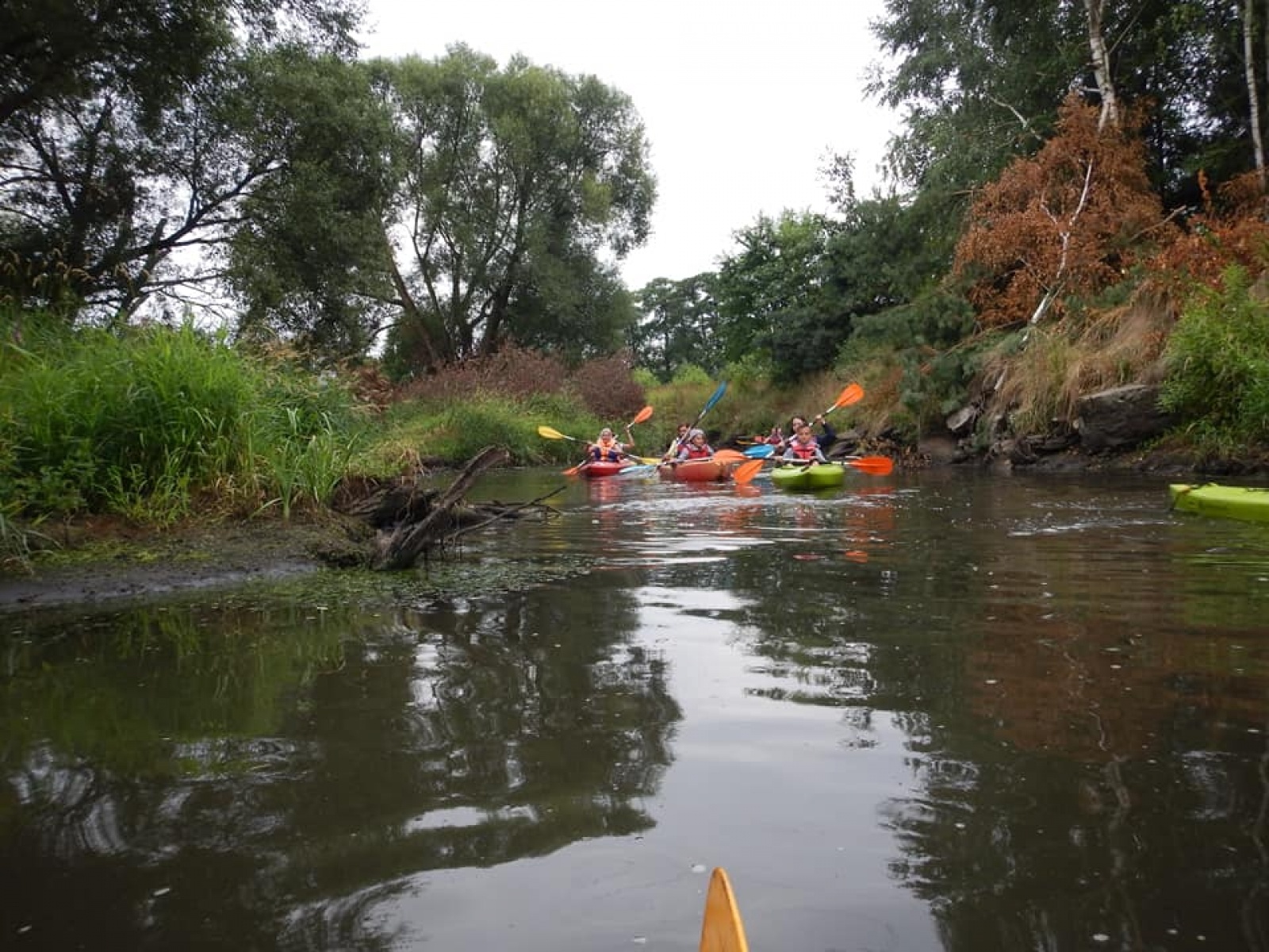 Zdjęcie w galerii na portalu naszwodzislaw.com: Zarażamy radością. Spływy kajakowe z Gminnym Ośrodkiem Sportu w Mszanie wiadomości z regionu