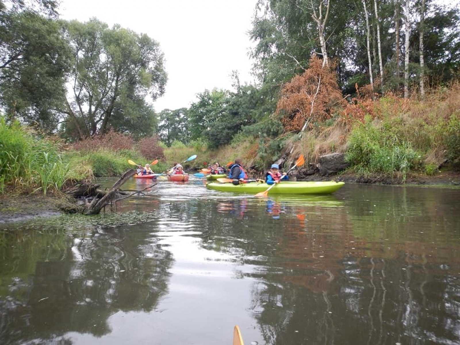 Zdjęcie w galerii na portalu naszwodzislaw.com: Zarażamy radością. Spływy kajakowe z Gminnym Ośrodkiem Sportu w Mszanie wiadomości z regionu