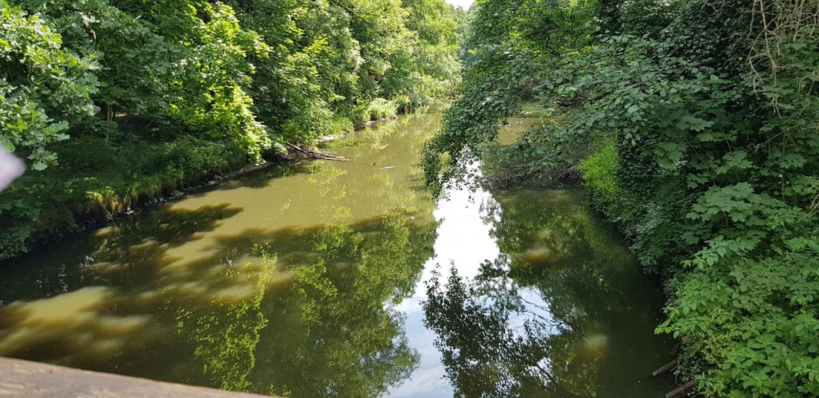 Zdjęcie w galerii na portalu naszwodzislaw.com: Zarażamy radością. Spływy kajakowe z Gminnym Ośrodkiem Sportu w Mszanie wiadomości z regionu