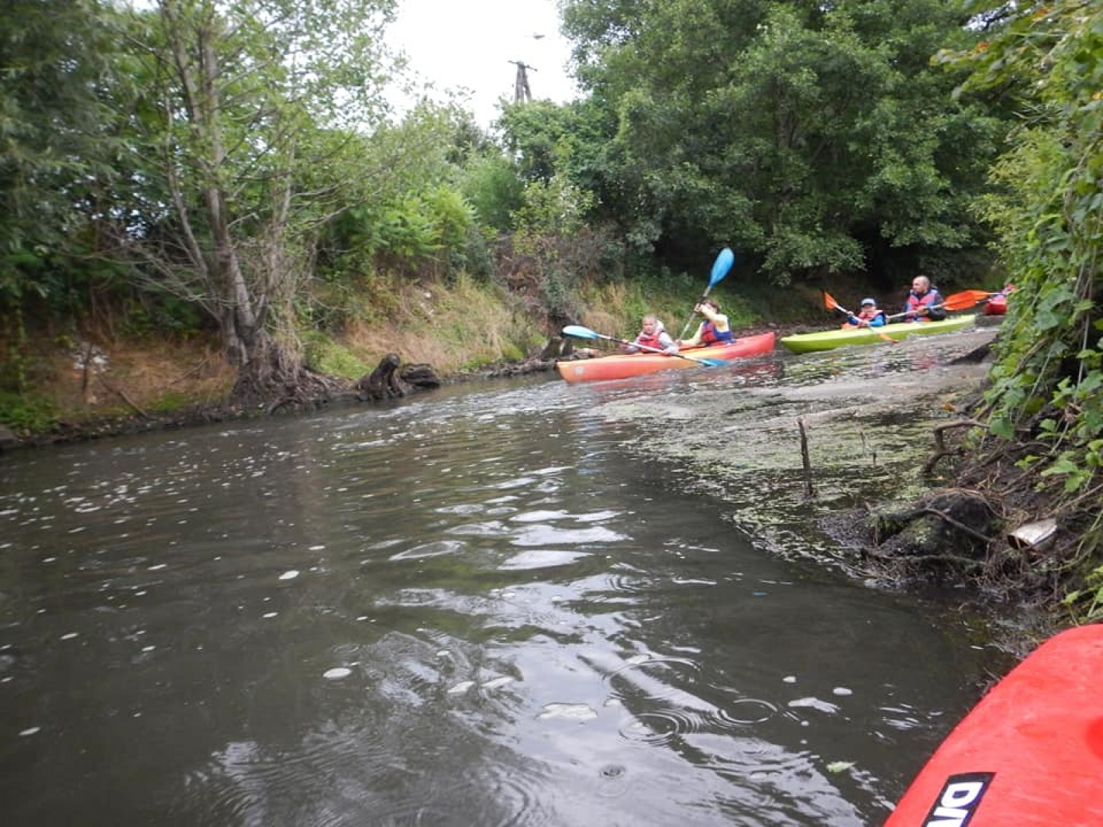 Zdjęcie w galerii na portalu naszwodzislaw.com: Zarażamy radością. Spływy kajakowe z Gminnym Ośrodkiem Sportu w Mszanie wiadomości z regionu