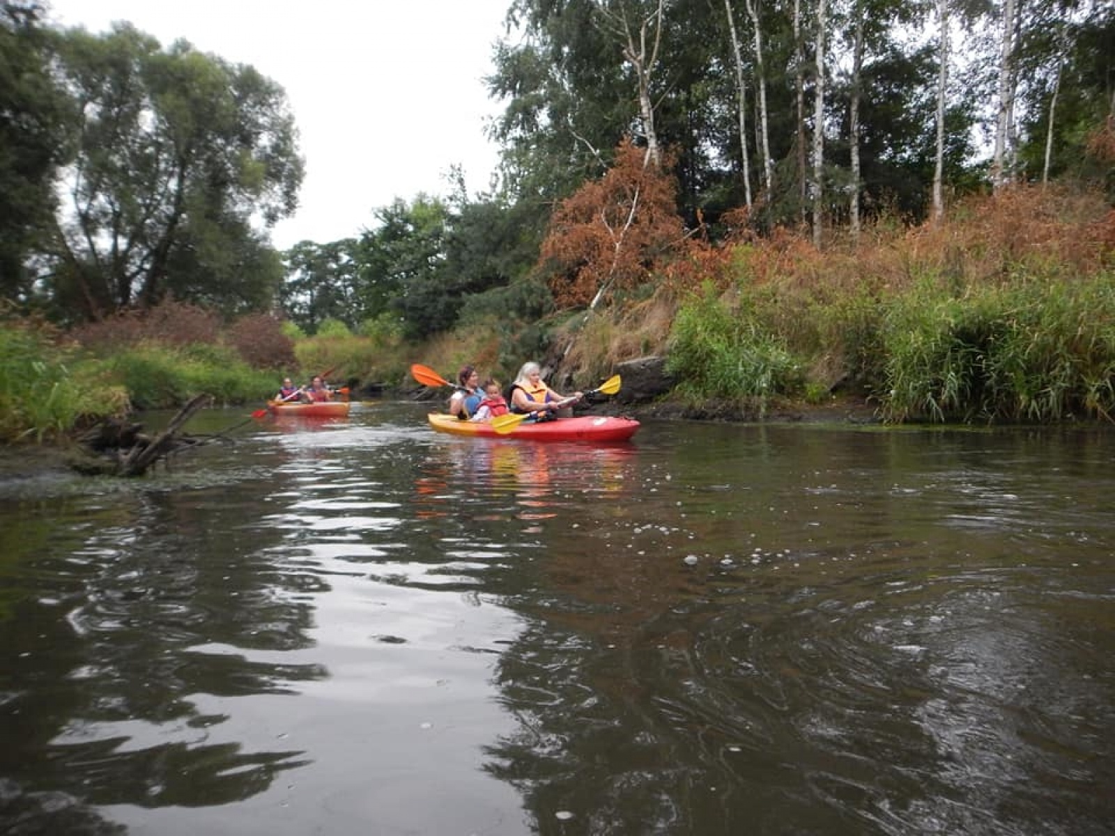 Zdjęcie w galerii na portalu naszwodzislaw.com: Zarażamy radością. Spływy kajakowe z Gminnym Ośrodkiem Sportu w Mszanie wiadomości z regionu