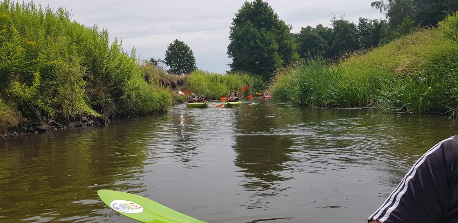 Zdjęcie w galerii na portalu naszwodzislaw.com: Zarażamy radością. Spływy kajakowe z Gminnym Ośrodkiem Sportu w Mszanie wiadomości z regionu