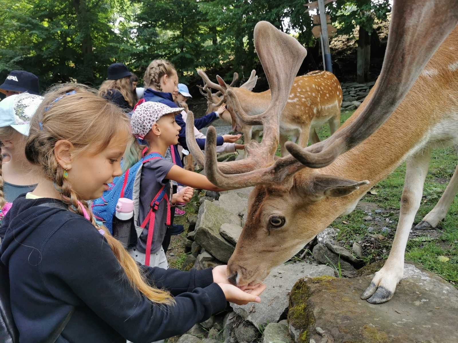 Zdjęcie w galerii na portalu naszwodzislaw.com: Wakacyjne podróże w czasie w Pszowie wiadomości z regionu