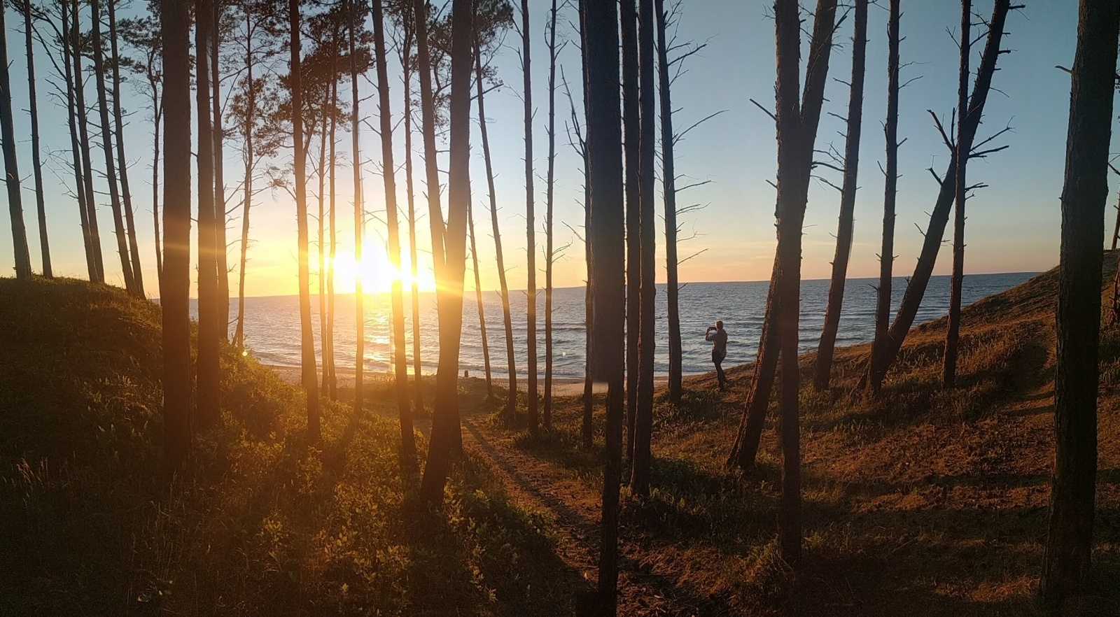 Zdjęcie w galerii na portalu naszwodzislaw.com: ARCHITEKT? Brzmi dumnie. Dołącz do grona studentów architektury PWSZ wiadomości z regionu