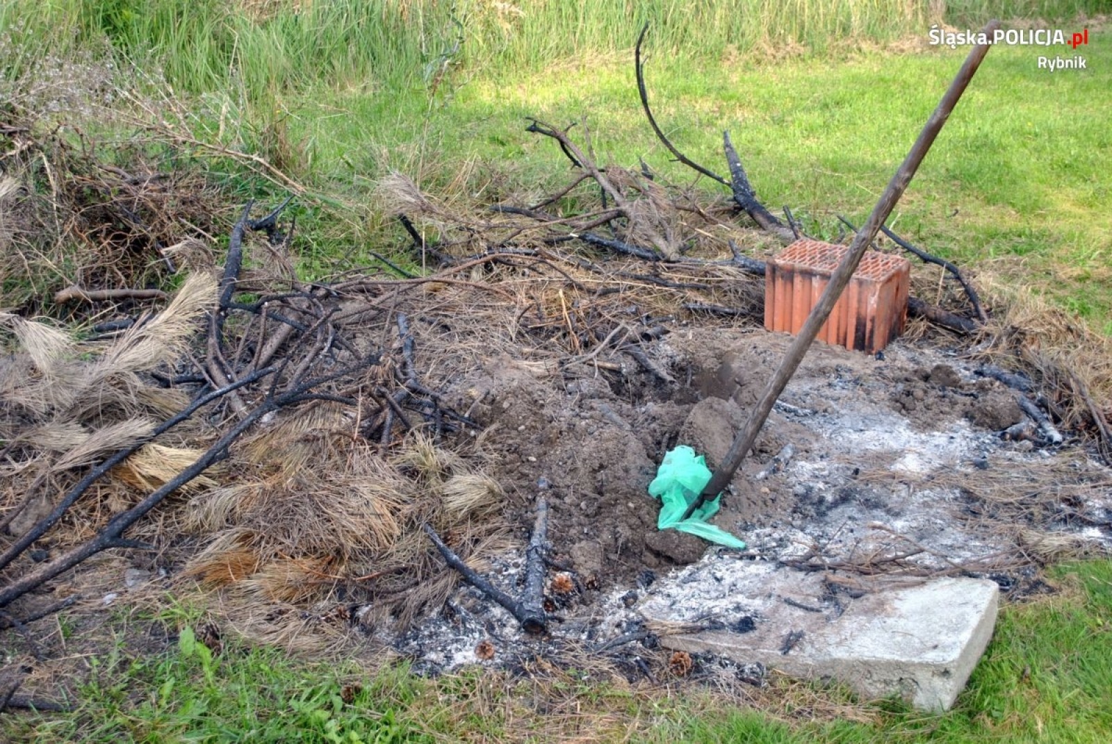 Zdjęcie w galerii na portalu naszwodzislaw.com: Dwóch rybniczan odpowie za zabicie szczeniąt wiadomości z regionu