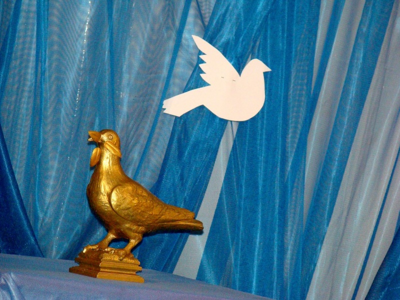 Zdjęcie w galerii na portalu naszwodzislaw.com: Wodzisław na trasie Gołębia Pokoju wiadomości z regionu