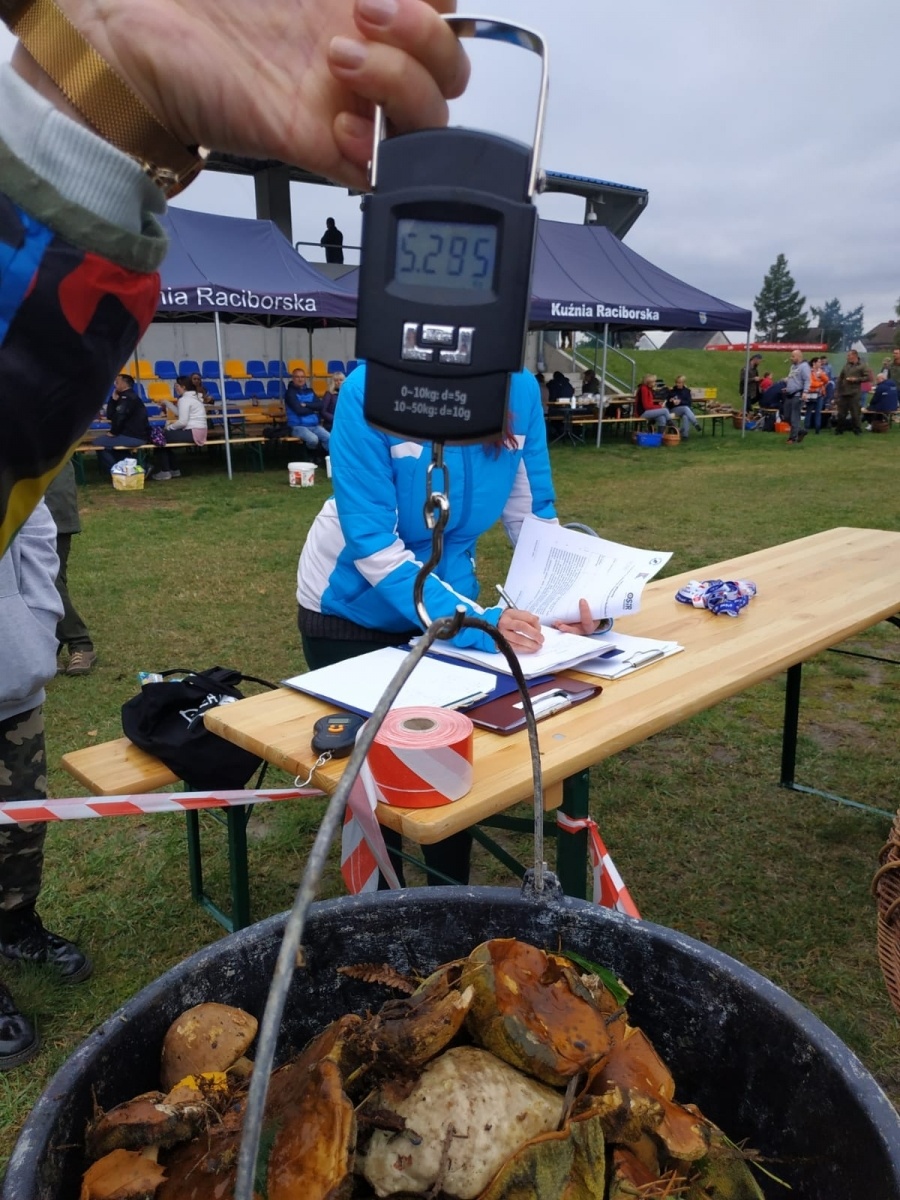 Zdjęcie w galerii na portalu naszwodzislaw.com: Znamy nowych mistrzów grzybobrania wiadomości z regionu