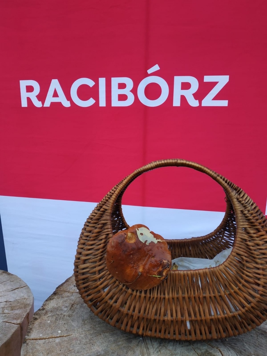 Zdjęcie w galerii na portalu naszwodzislaw.com: Znamy nowych mistrzów grzybobrania wiadomości z regionu