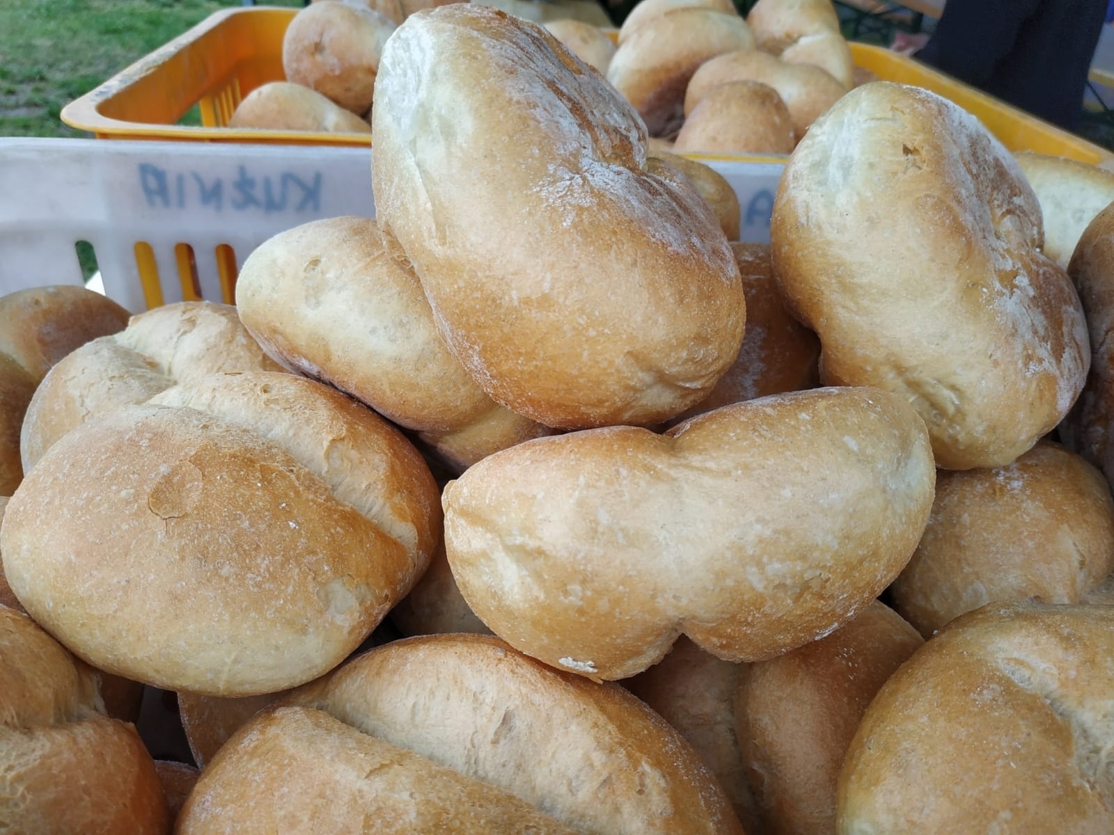 Zdjęcie w galerii na portalu naszwodzislaw.com: Znamy nowych mistrzów grzybobrania wiadomości z regionu