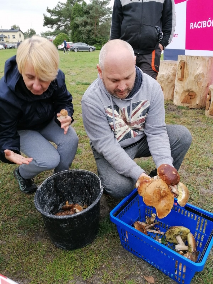Zdjęcie w galerii na portalu naszwodzislaw.com: Znamy nowych mistrzów grzybobrania wiadomości z regionu