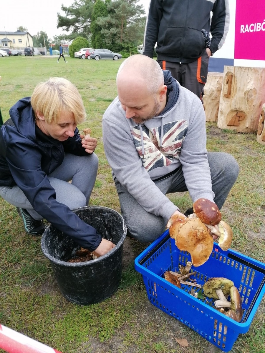 Zdjęcie w galerii na portalu naszwodzislaw.com: Znamy nowych mistrzów grzybobrania wiadomości z regionu