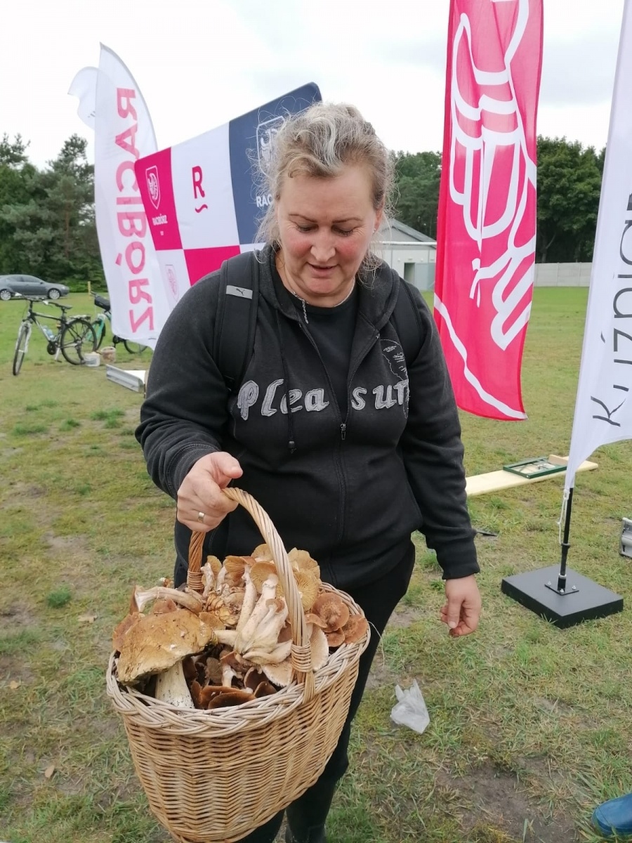 Zdjęcie w galerii na portalu naszwodzislaw.com: Znamy nowych mistrzów grzybobrania wiadomości z regionu