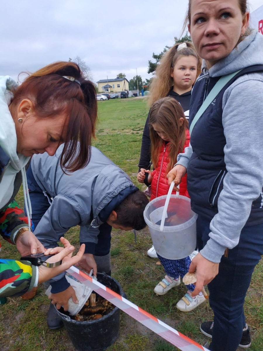 Zdjęcie w galerii na portalu naszwodzislaw.com: Znamy nowych mistrzów grzybobrania wiadomości z regionu